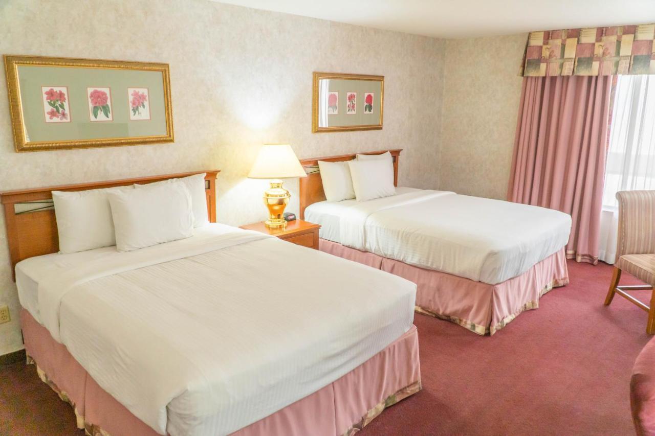 Queen Room with Two Queen Beds