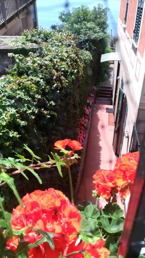 Studio avec Terrasse