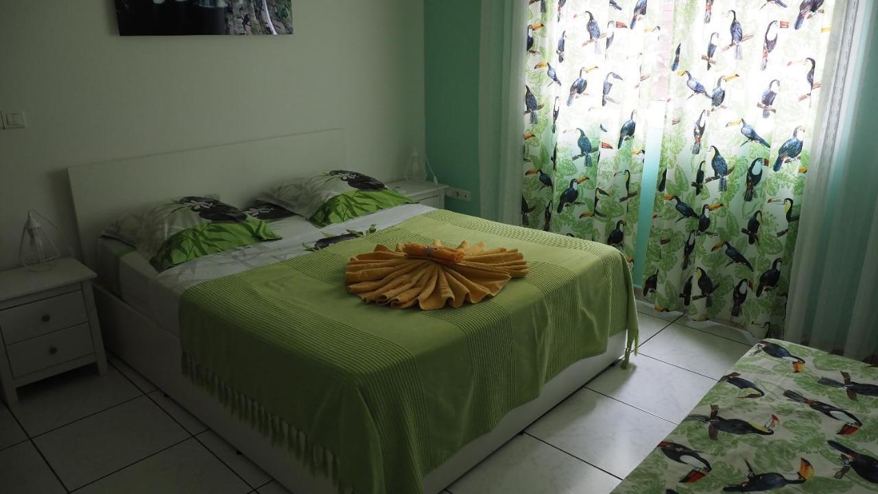 Chambre Toucan