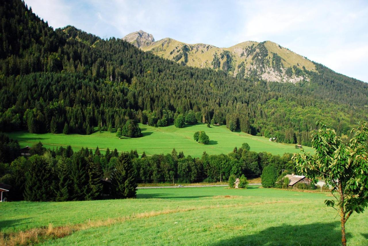 Chambre Double ou Lits Jumeaux Deluxe - Vue sur Montagne