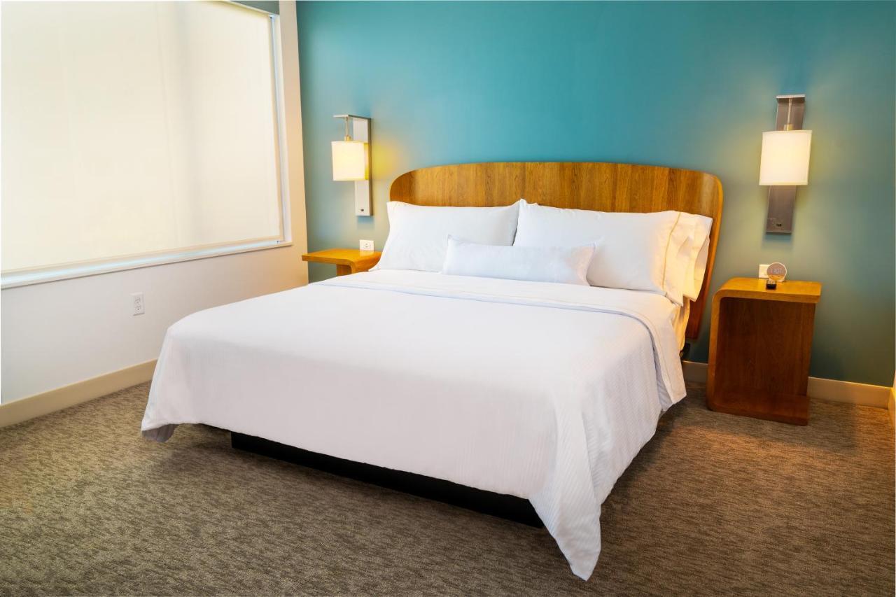 1 Bedroom Suite, 1 King