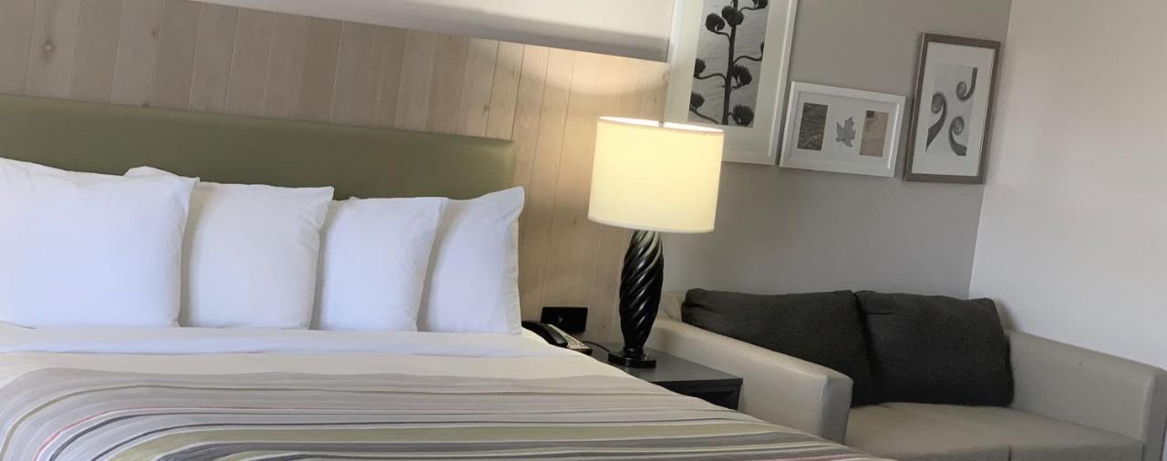 King Studio Suite with Sofa-Bed - Non-Smoking