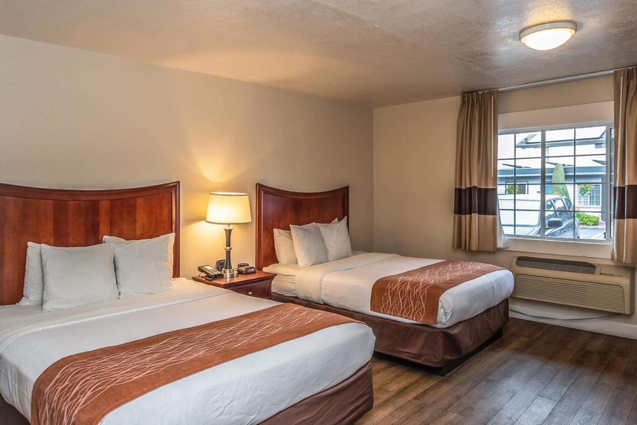Quarto Queen com 2 Camas Queen-size