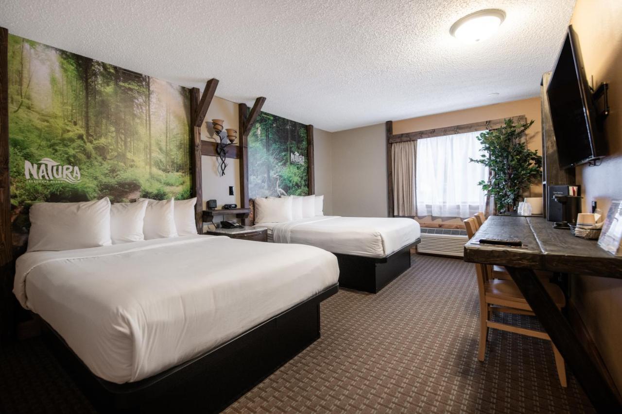 Deluxe Family Suite,1105236315:JPEG