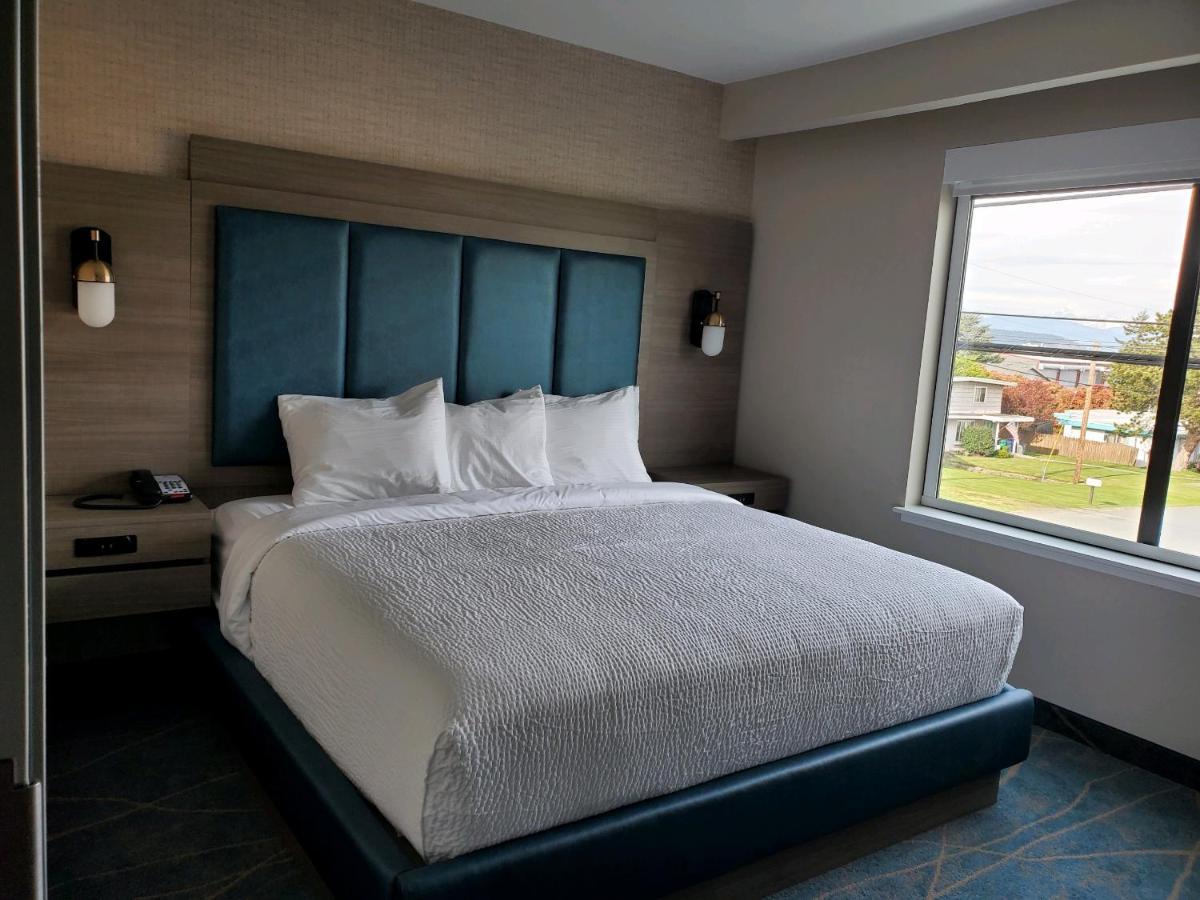 Deluxe King Suite