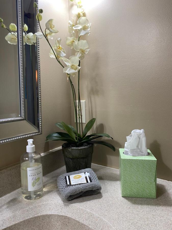 Deluxe King Suite Pet Friendly,1116931929:JPEG
