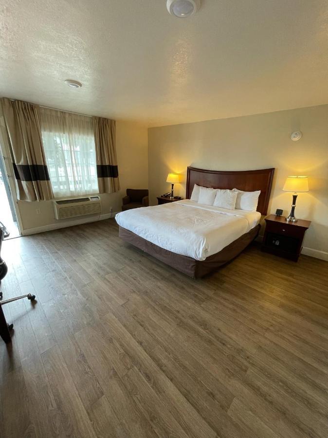 Quarto com Cama King-size - Acessível para Hóspedes com Mobilidades Reduzidas - Não Fumantes
