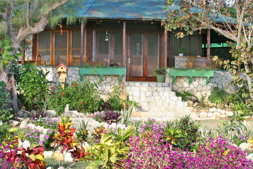 Star Bungalow,709539382:JPEG