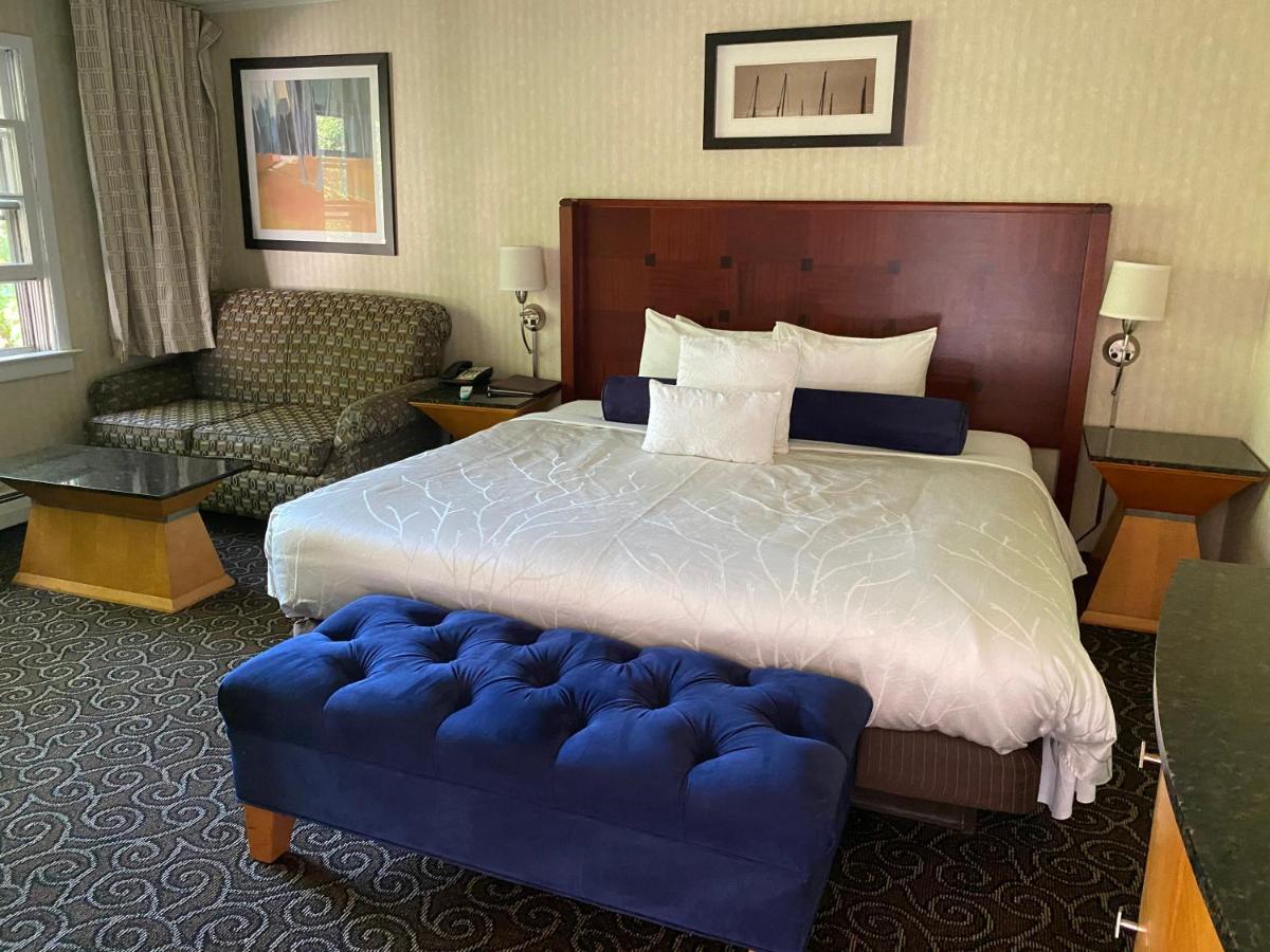 King Room,1161996690:JPEG
