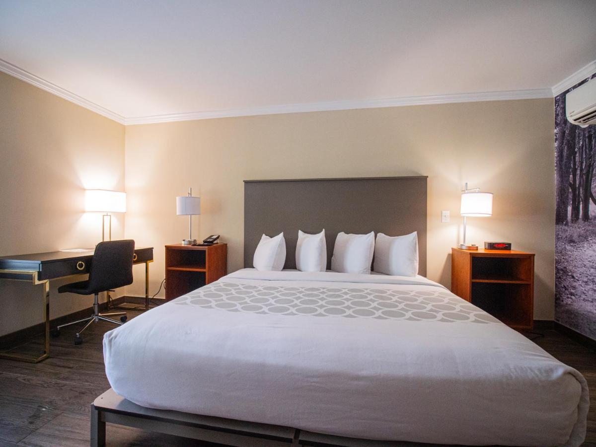 King Room - Disability Access,1128985800:JPEG
