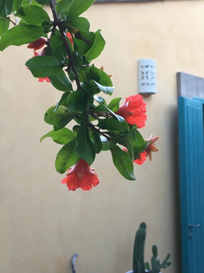 Appartement met Uitzicht op het Zwembad