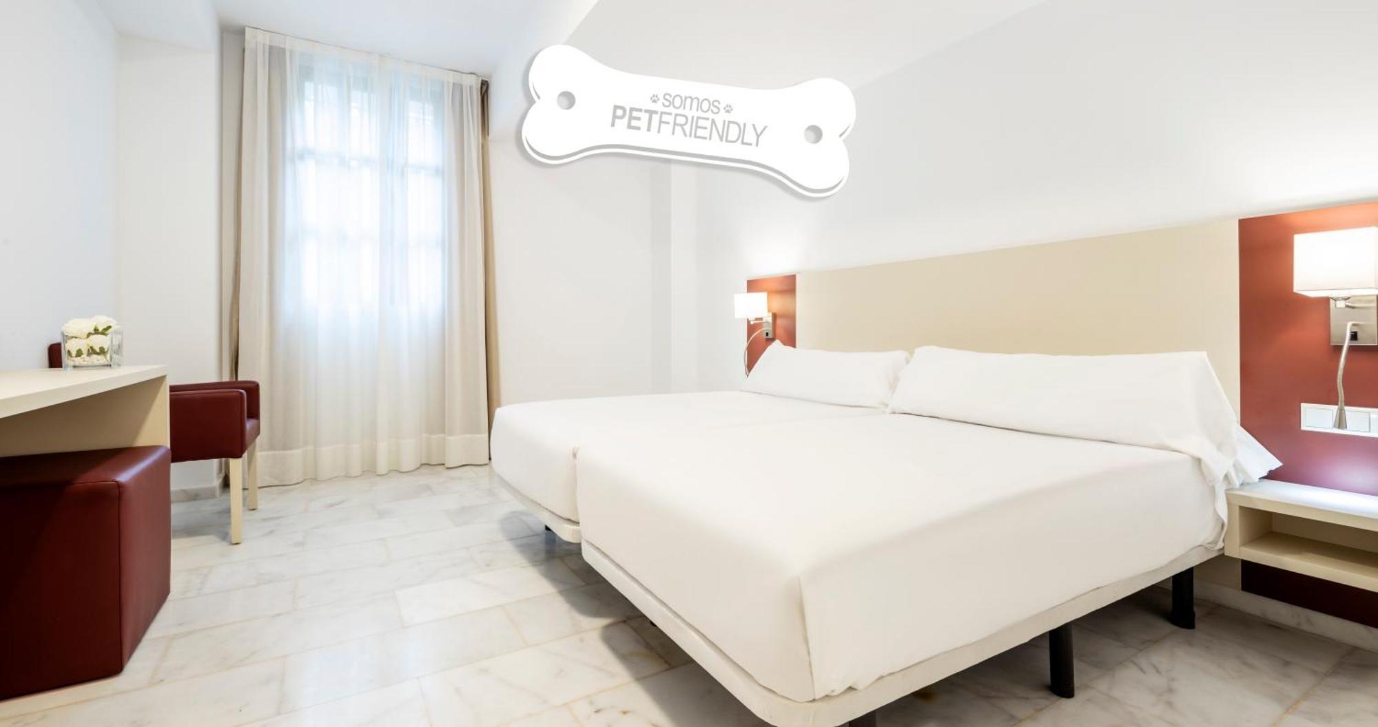 Standard Double Room Pet Friendly,989826736:JPEG