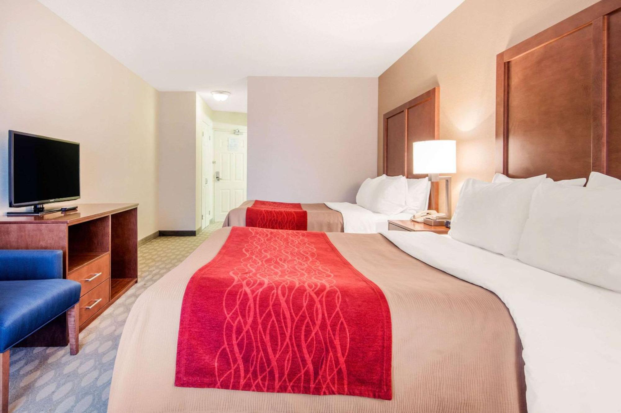 Queen Suite with Sofa Bed