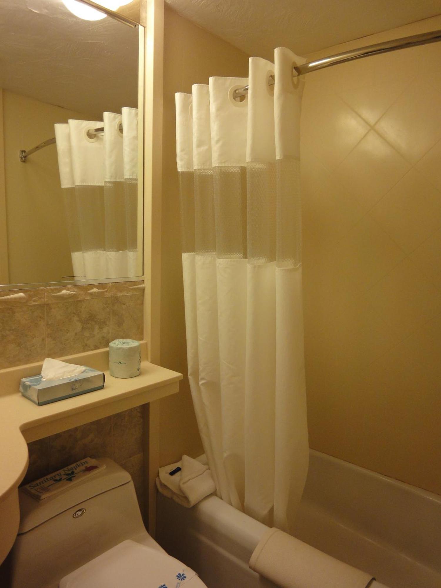 Standard Double Room,685387953:JPEG