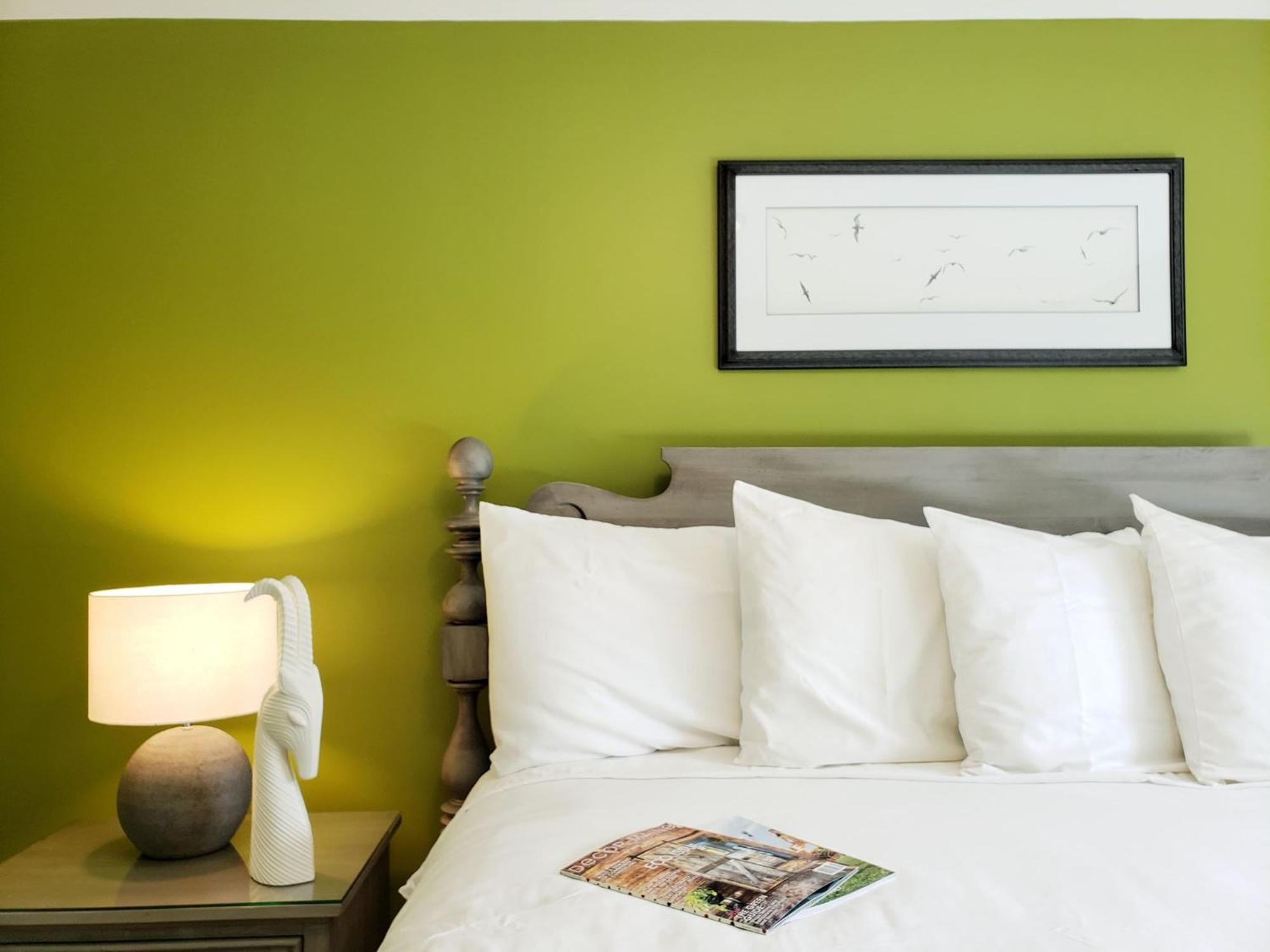Deluxe King Suite