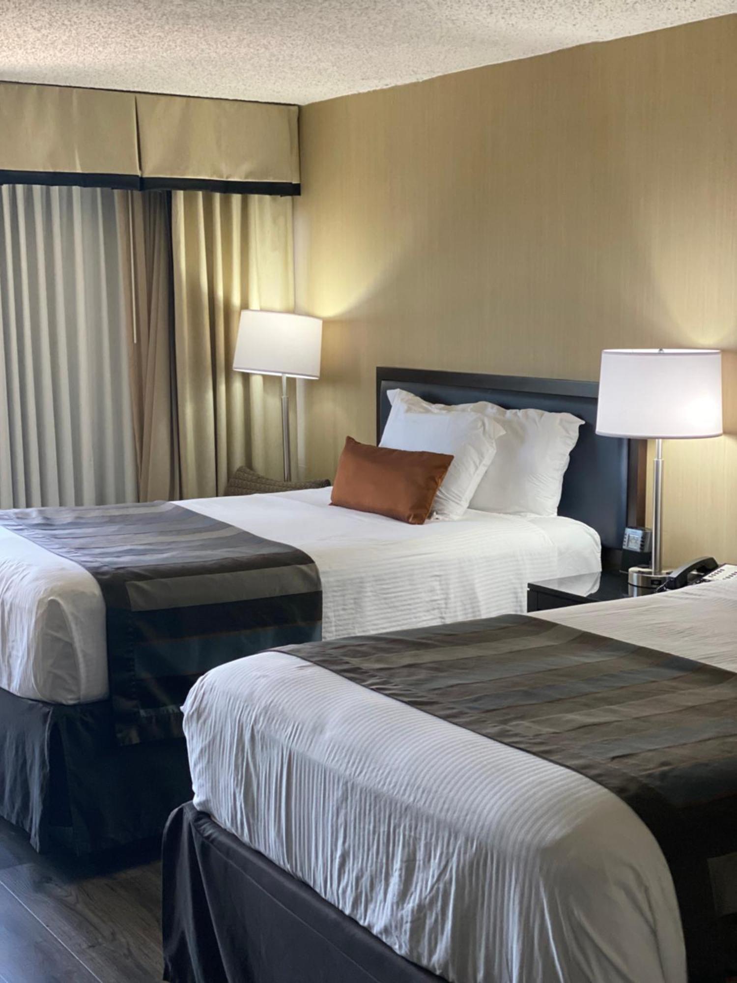 Double Room with Two Double Beds - Non-Smoking