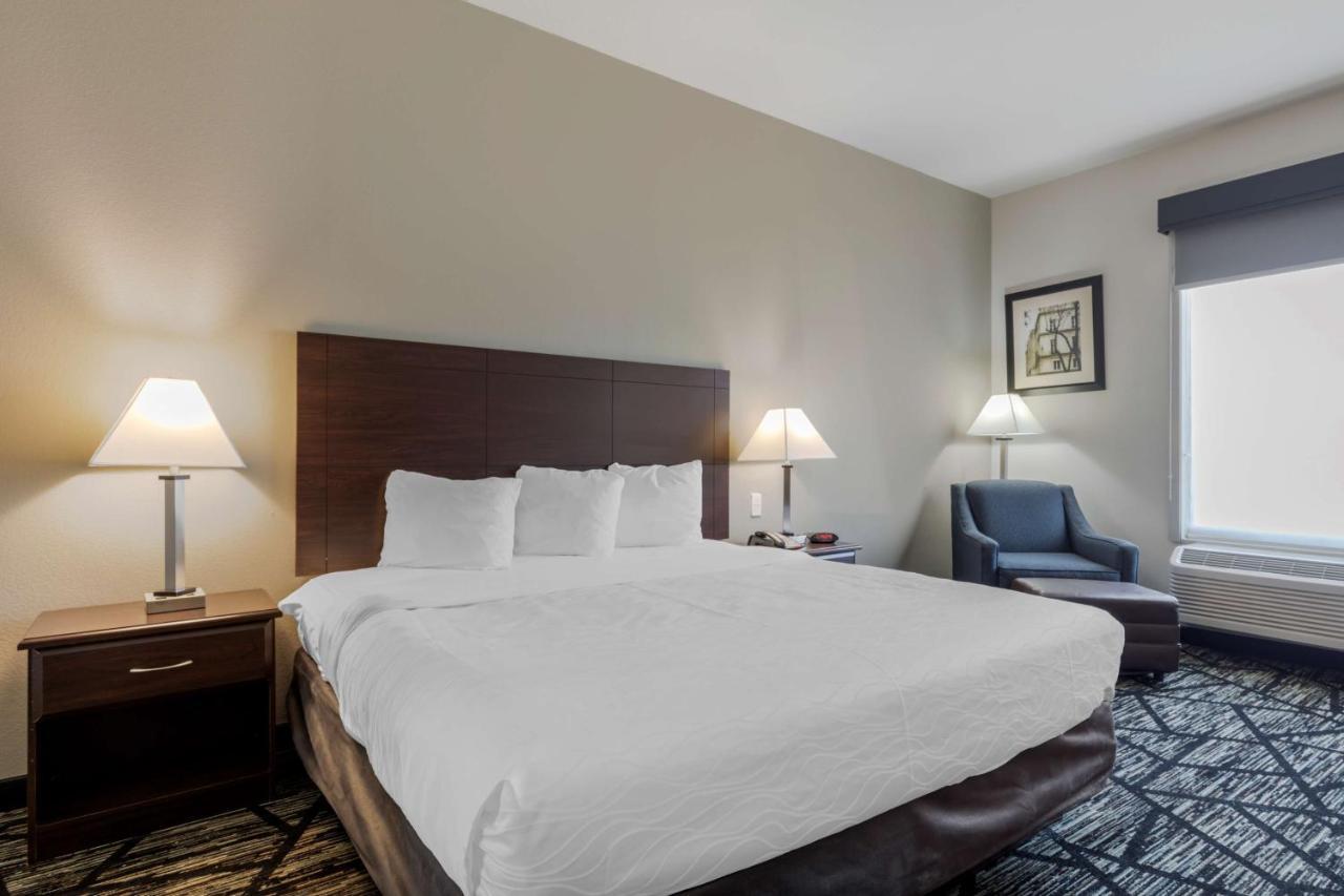King Room,1273480585:JPEG
