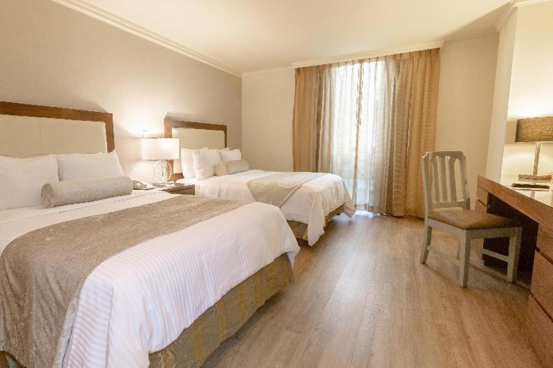 Suite met Uitzicht op de Stad