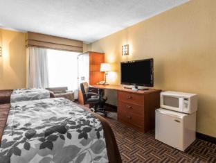 Double Room with Two Double Beds
