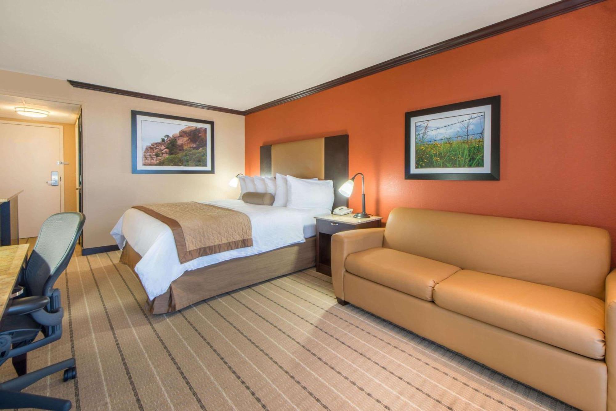King Room with One King Bed and Sofa Bed - Non-Smoking