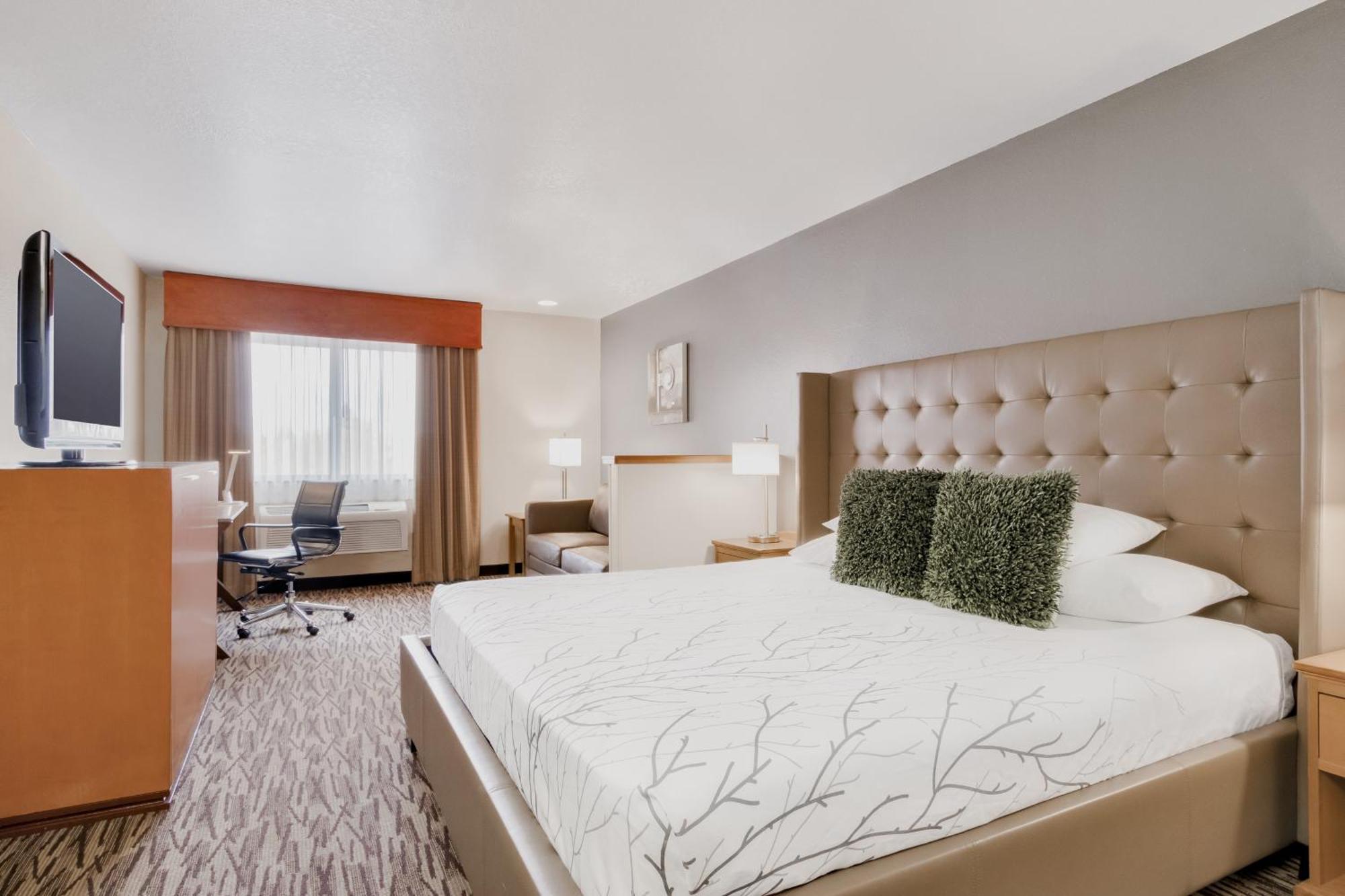 King Room with Sofa Bed - Non-Smoking