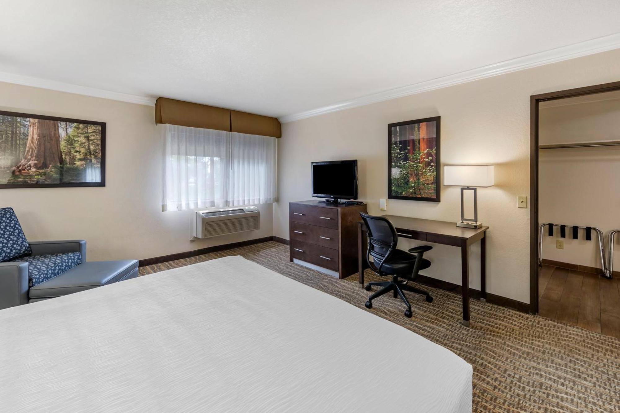 Accessible Suite