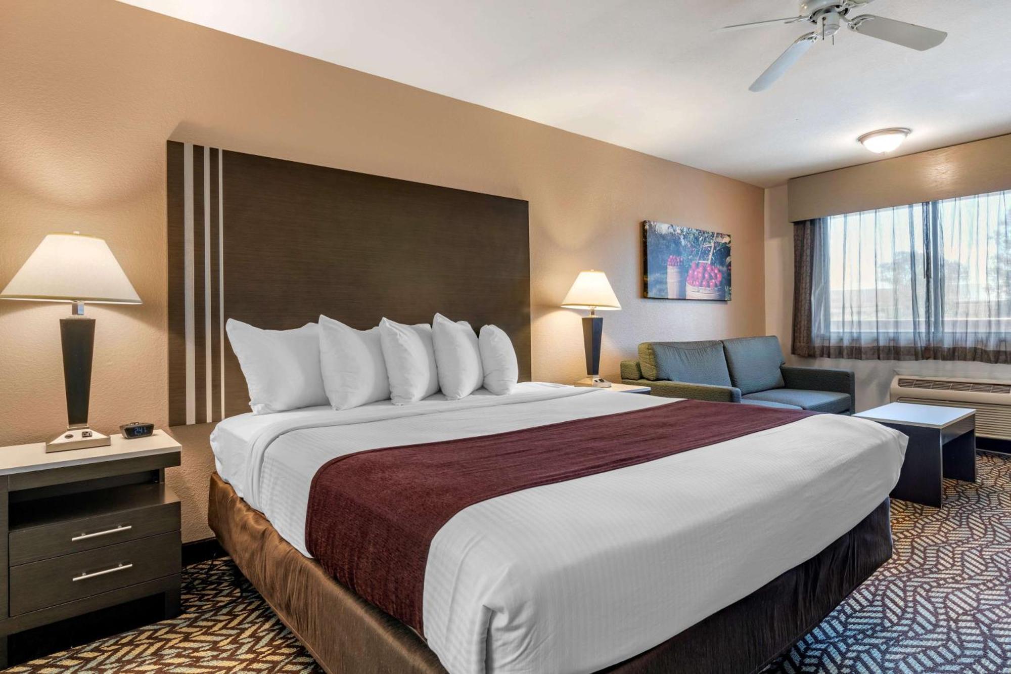 Business King Room - Non-Smoking