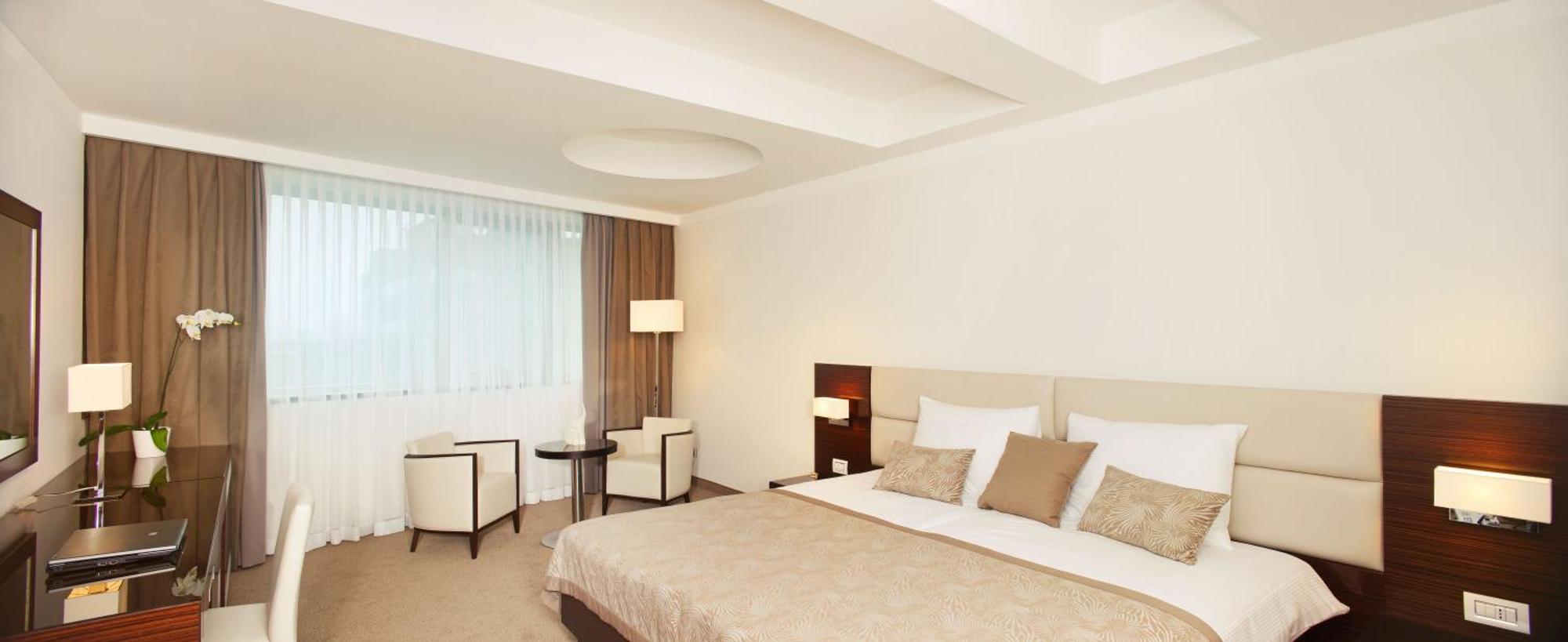 Deluxe Double or Twin Room