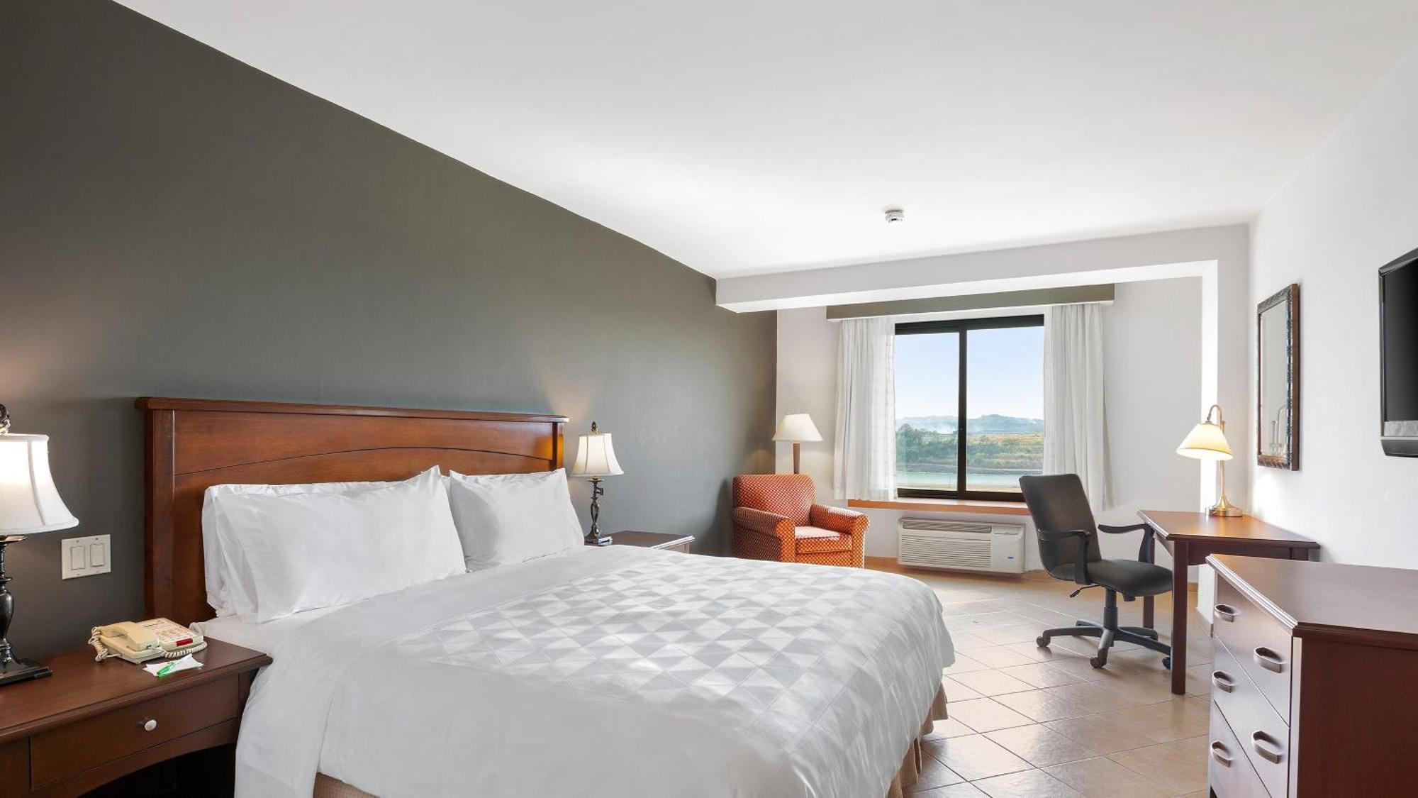 Habitación Estándar - Cama extragrande