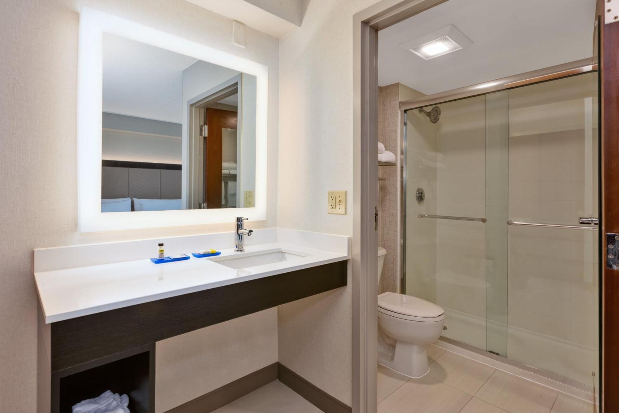 King Suite with Walk-In Shower