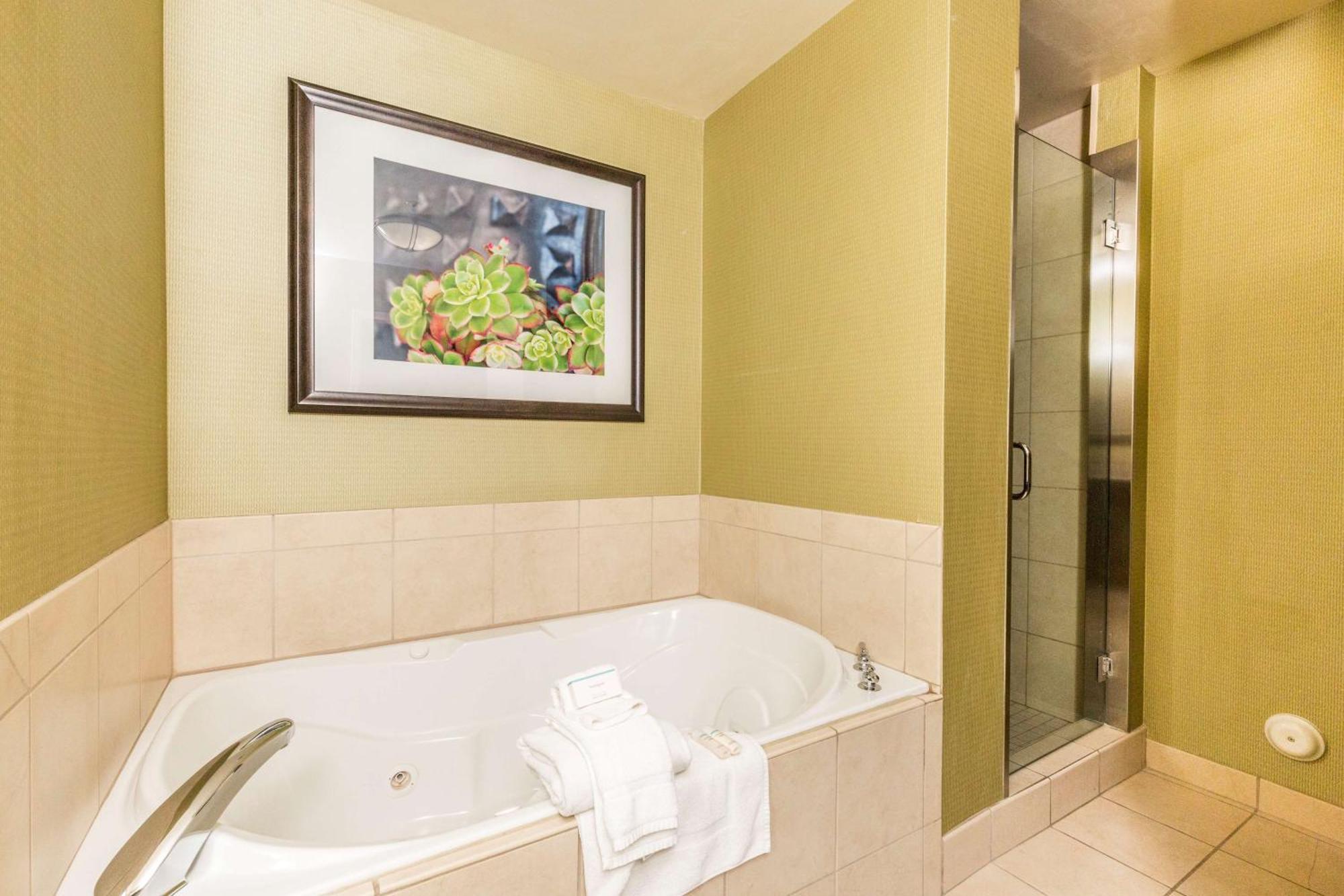 One-Bedroom King Suite with Whirlpool and Sofa Bed
