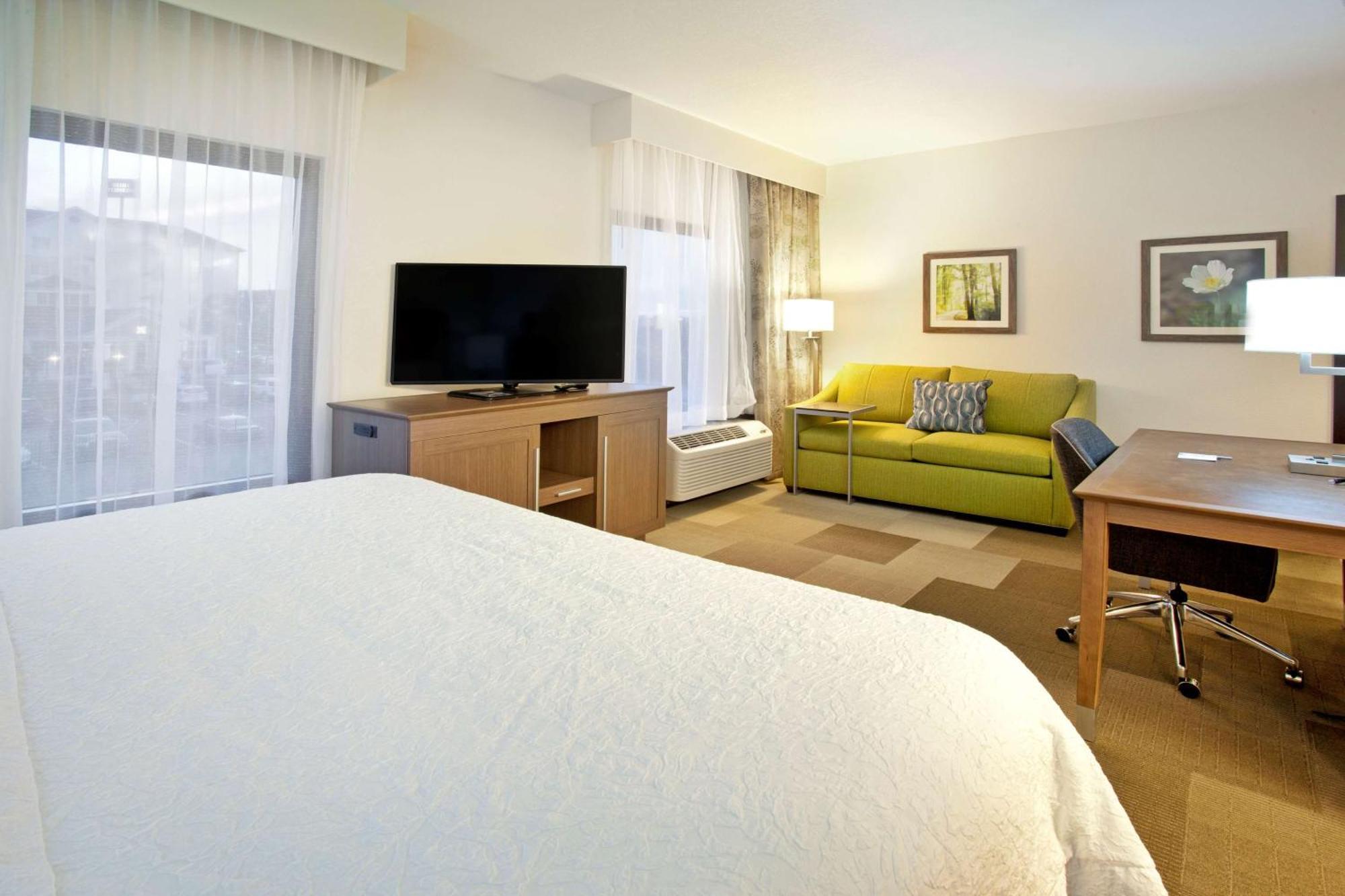 King Studio Suite with Sofa Bed - Non-Smoking