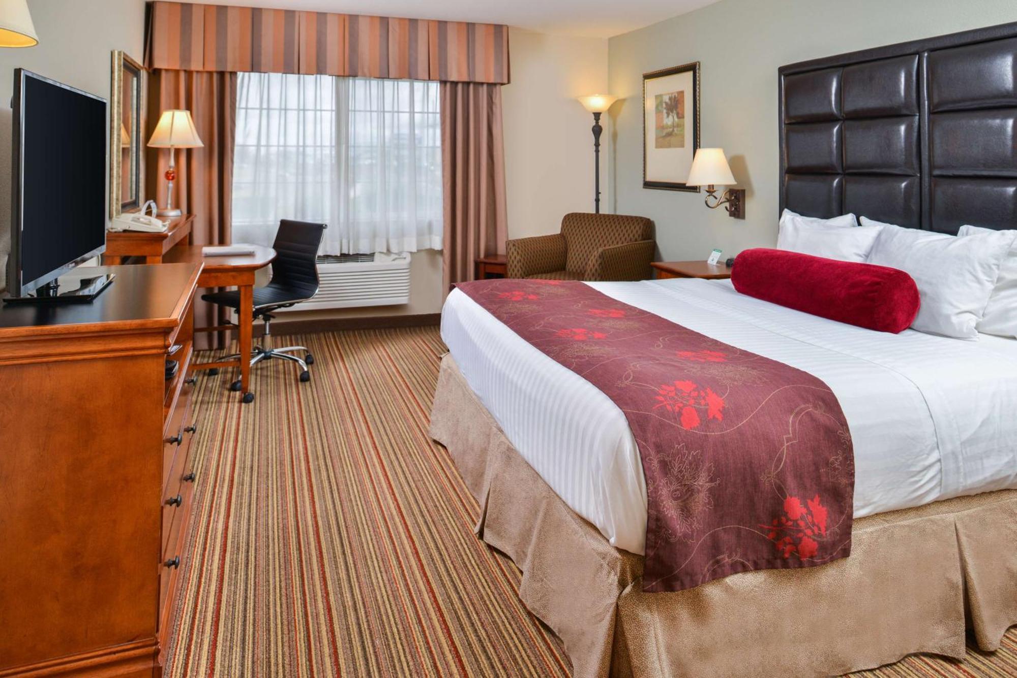 King Room,1281879448:JPEG