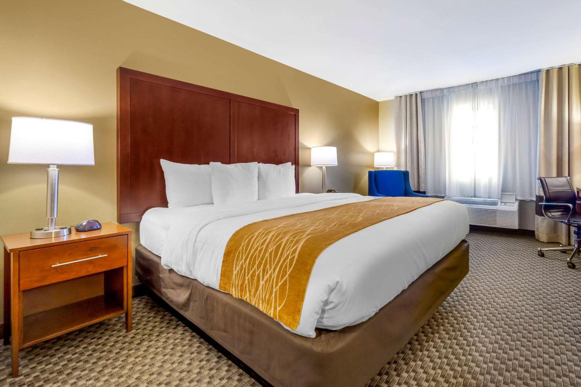 King Room
