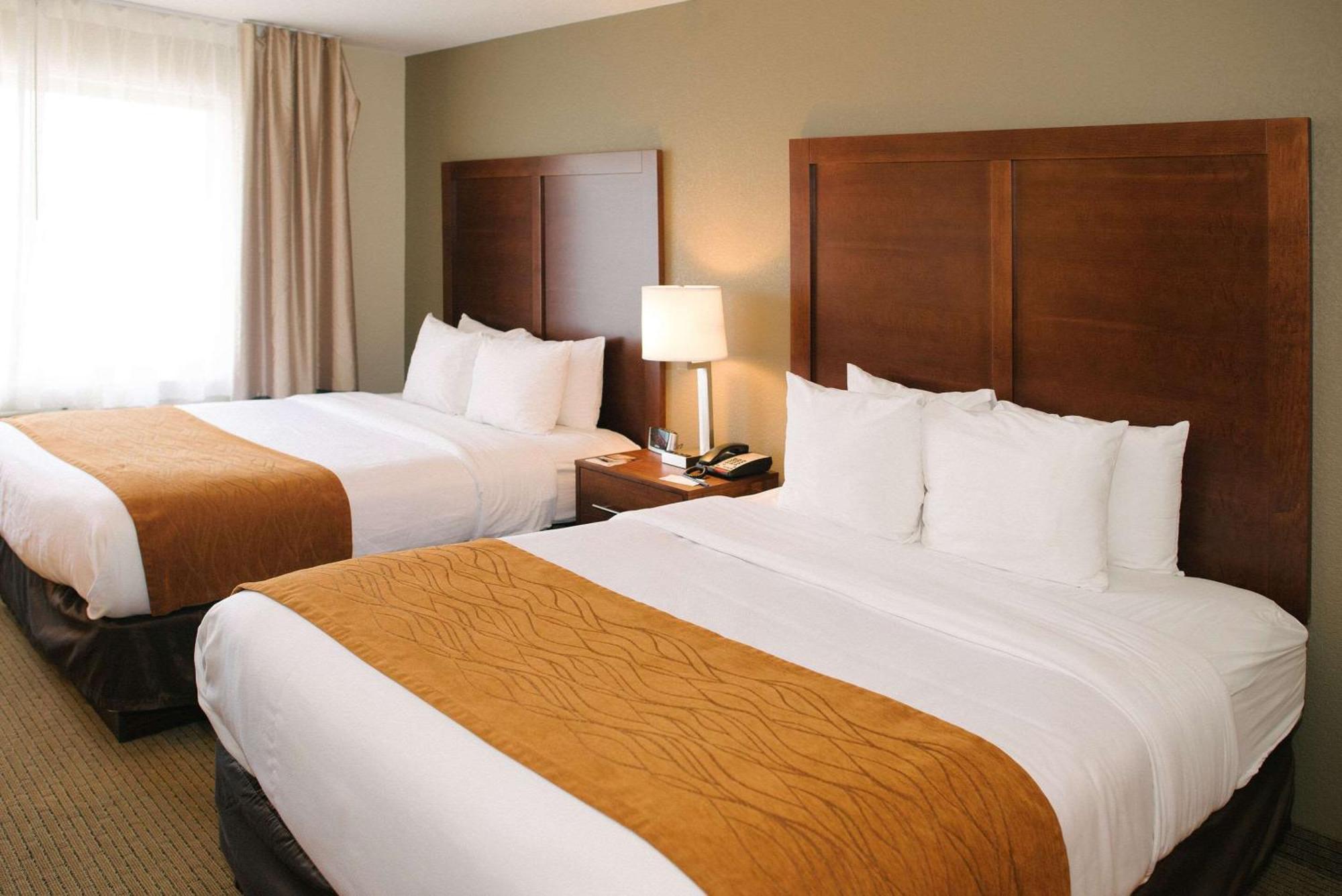 Standard Queen Room with Two Queen Beds - Non-Smoking