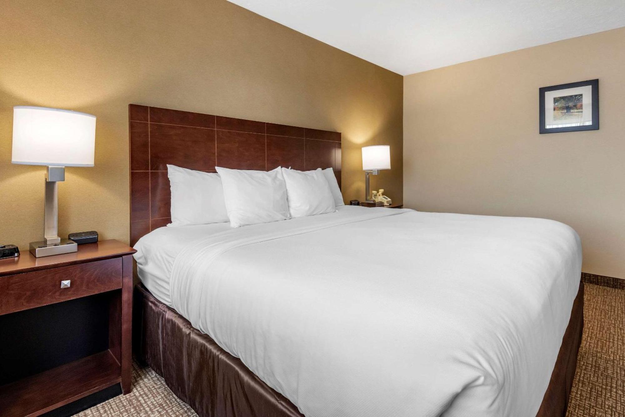 King Suite with Sofa Bed - Non-Smoking