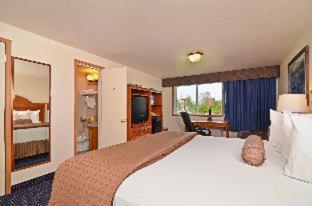 Large King Room with Mountain View - Non Smoking