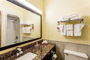 Double Room with Two Double Beds - Non-Smoking
