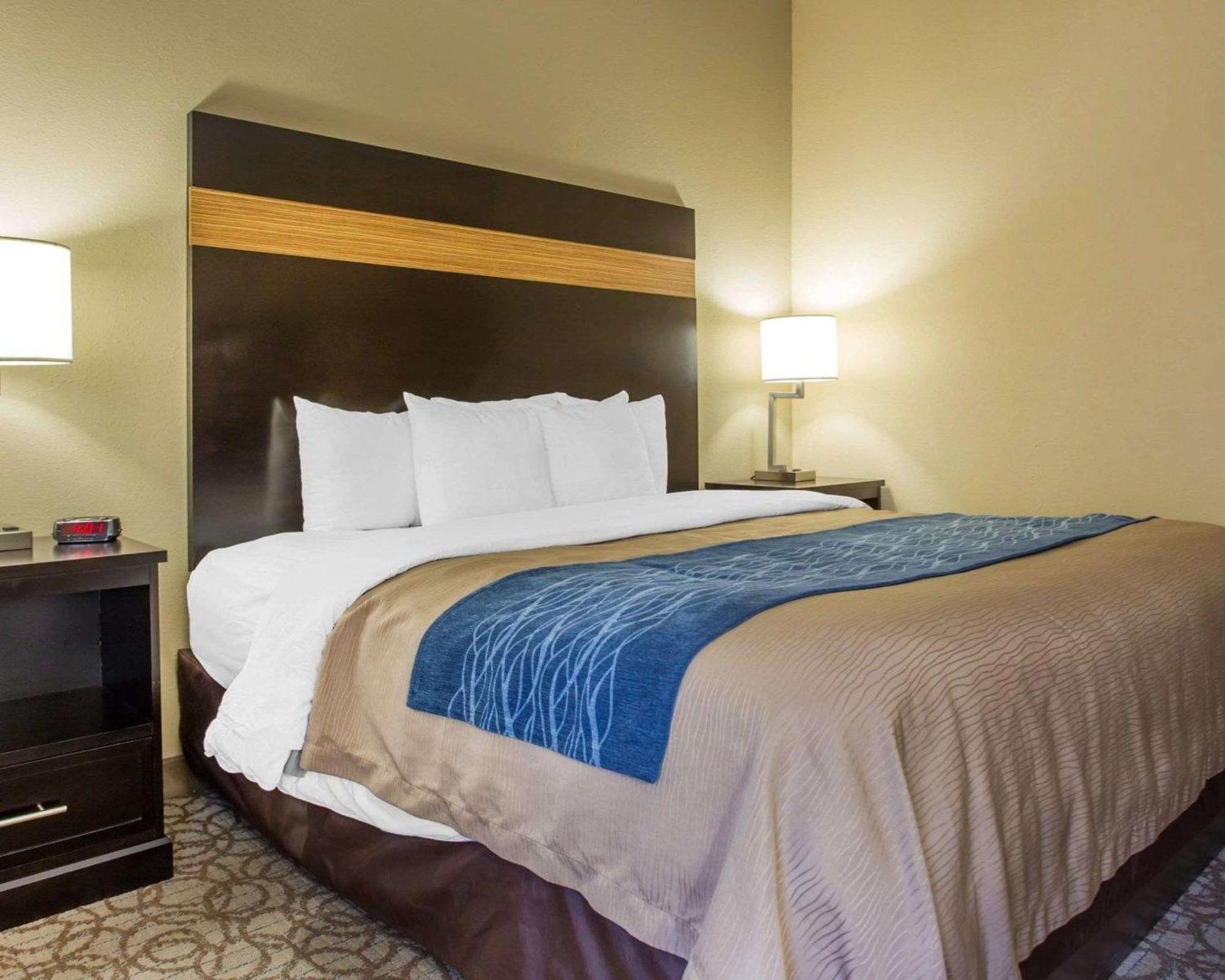 Standard Room, 1 King Bed, Non-Smoking