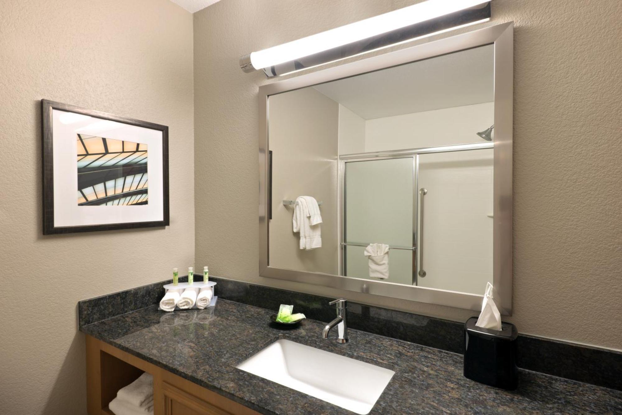 One-Bedroom King Suite with Sofa Bed