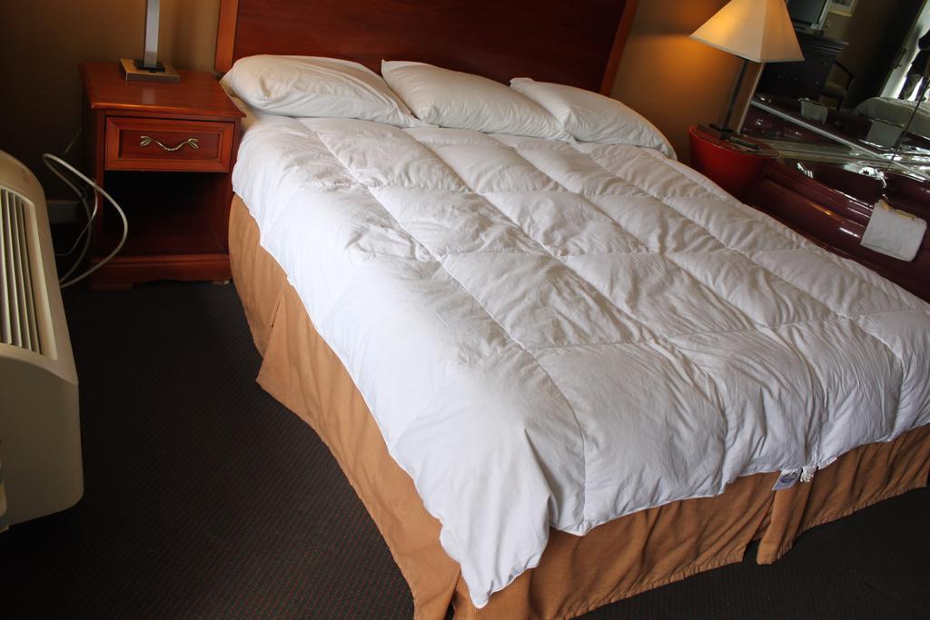 Suite Lit King-Size – Non-Fumeurs