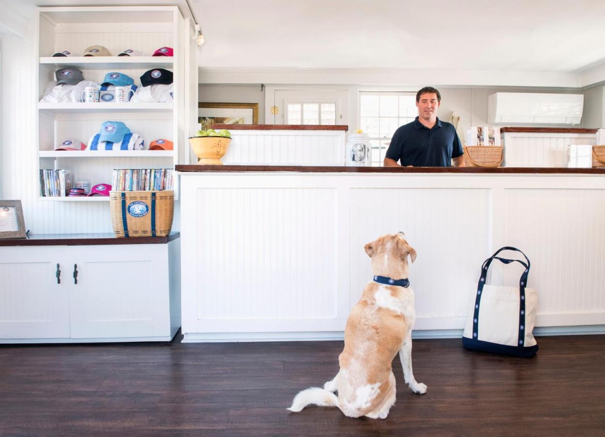One Bedroom Cottage Pet Friendly