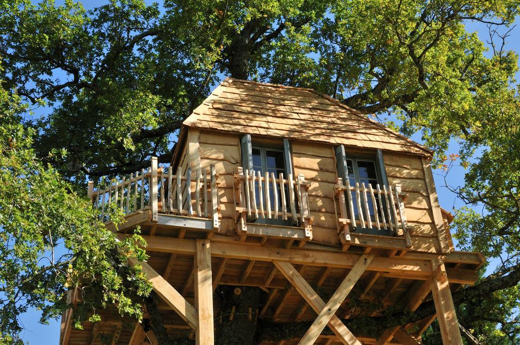 Cabane dans les Arbres