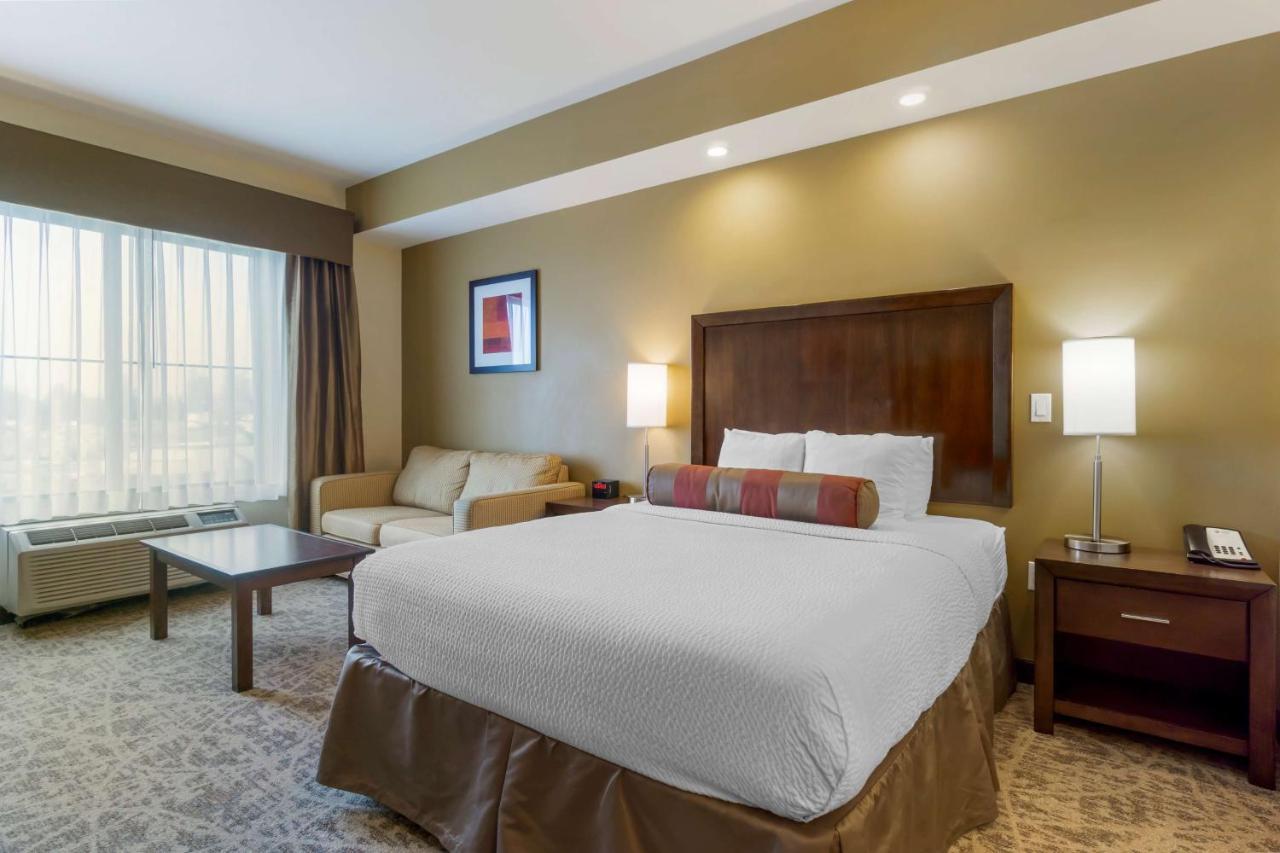 King Room - Pet Friendly/Non-Smoking