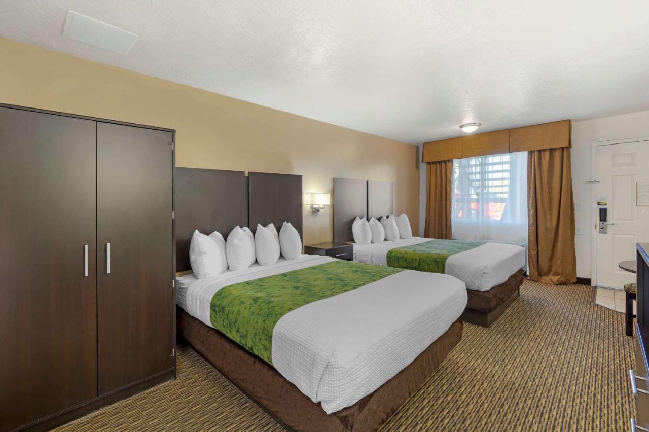 Queen Room with Two Queen Beds and Roll-In Shower - Disability Access/Non-Smoking
