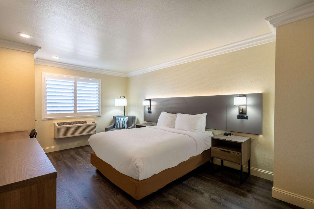 Standard Queen Room - Non Smoking