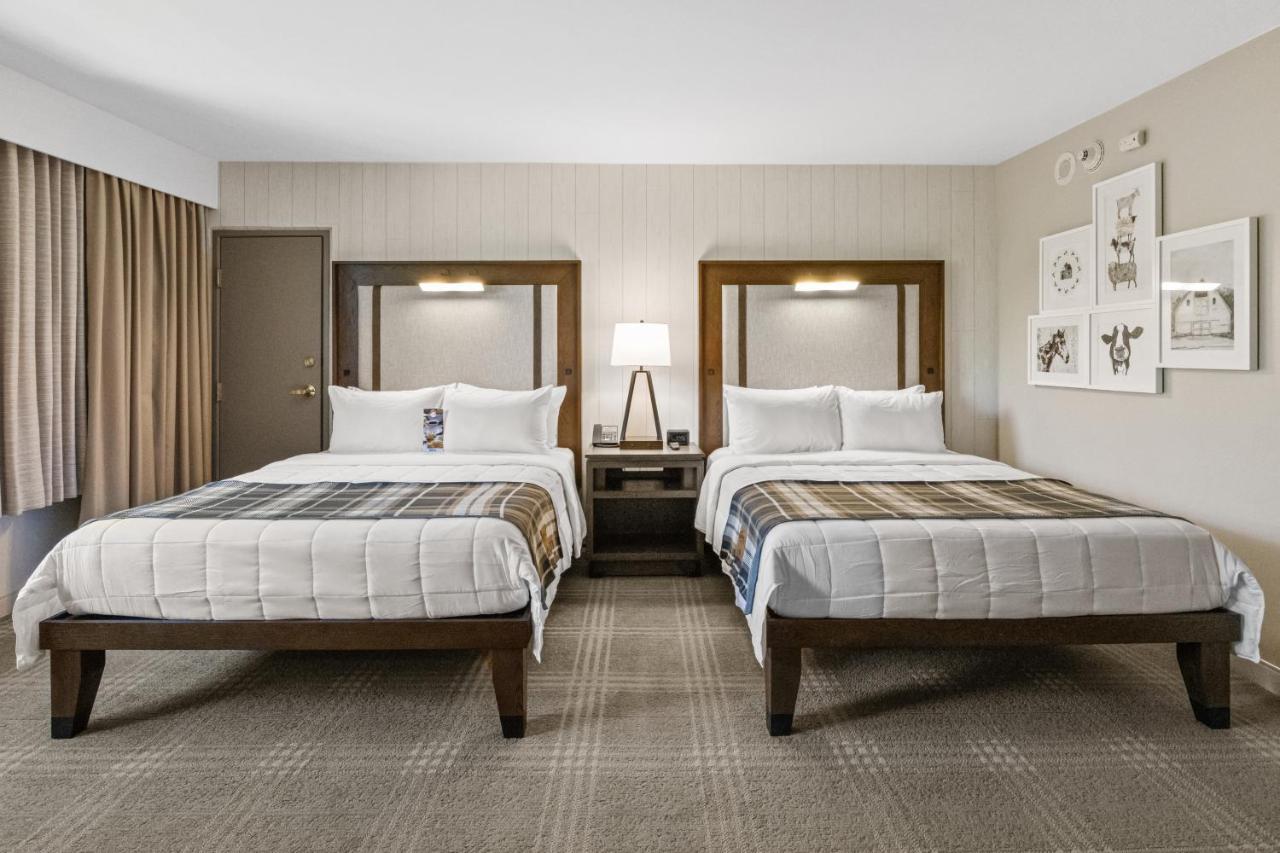 Double Queen Room,1586836152:JPEG