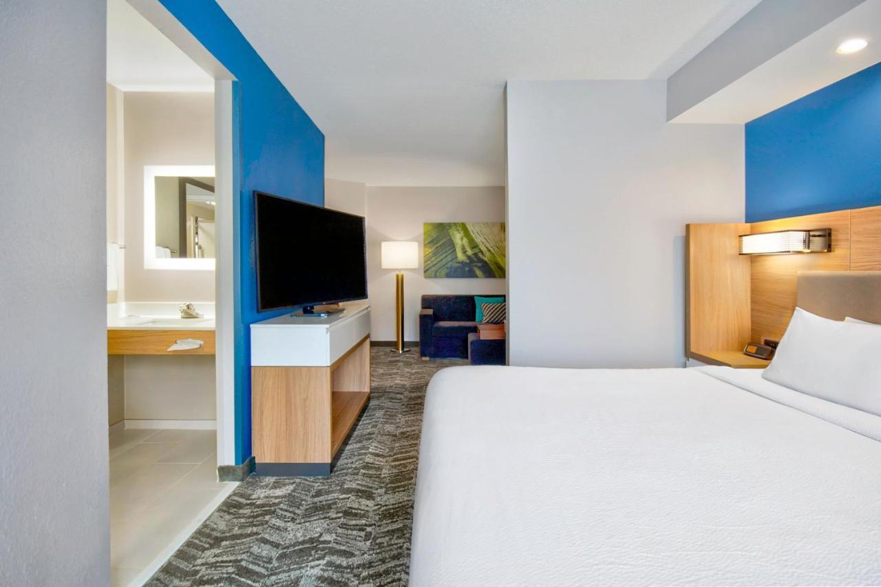 King Suite with Roll-In Shower and Sofa Bed - Mobility Access/Hearing Accessible