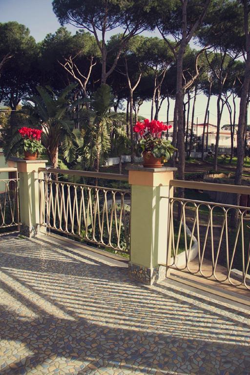 Double Room Balcony,194570320:JPEG