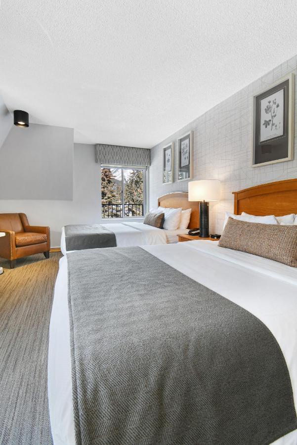 Chambre Supérieure Lit Queen-Size